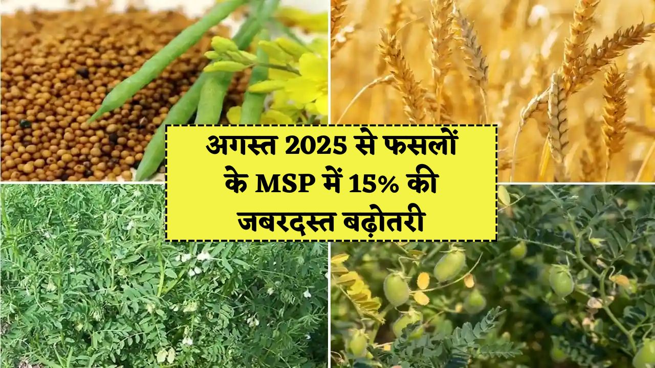 Crop MSP Rates